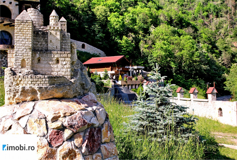 Afacere activă de excepție - Complexul Turistic Prințesa din Carpați